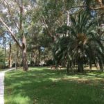 A61C4720-ED65-40A7-A6E2-4A759020DC38