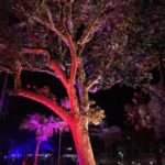 C79725A0-2AFA-43F4-BAF7-3C64951130F6